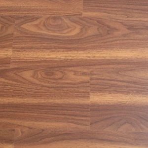 باركيه باتيل 2504