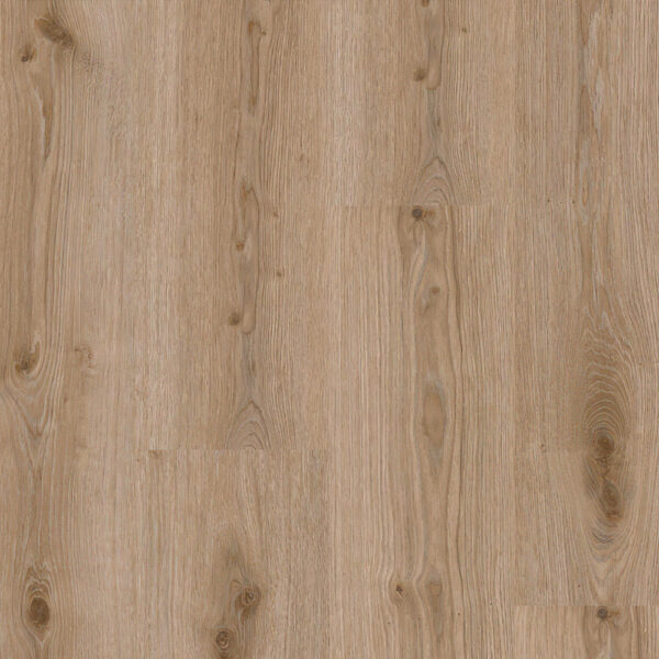 تاركيت Primary Oak Lt Grey 120