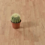 باركيه سوبريور 606