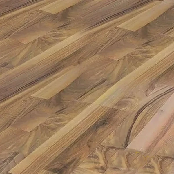 باركيه سوبريور 613