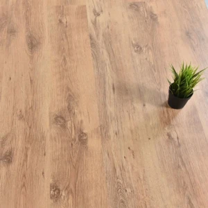 باركيه سوبريور 614
