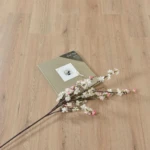 باركيه سوبريور 615
