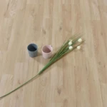 باركيه سوبريور 621