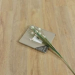 باركيه سوبريور 636